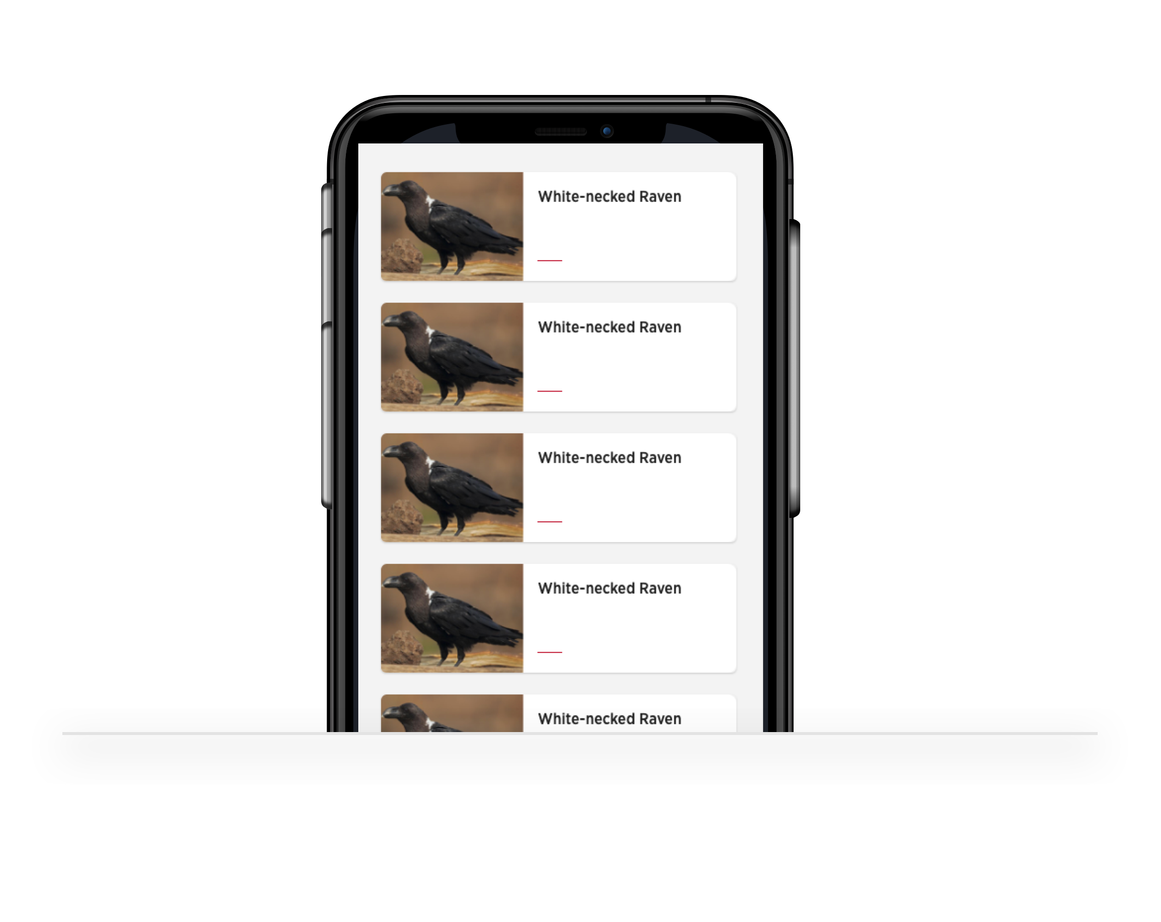Showing the Card Grid on mobile